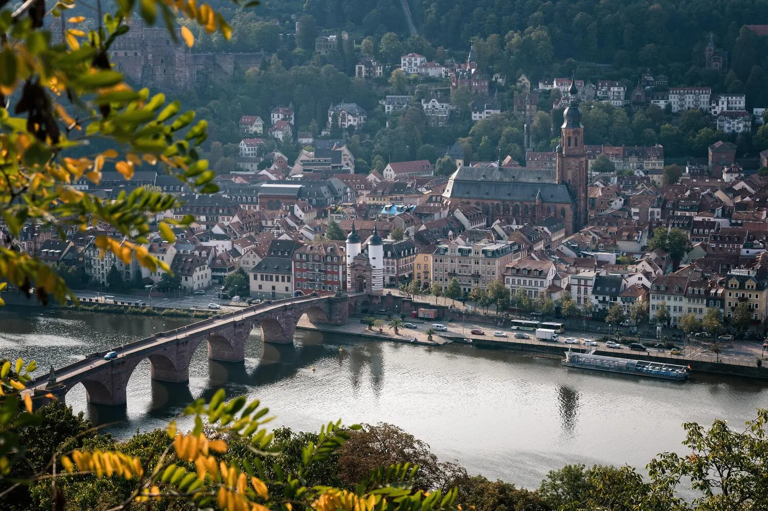 Zentrale Ferienwohnungen Heidelberg