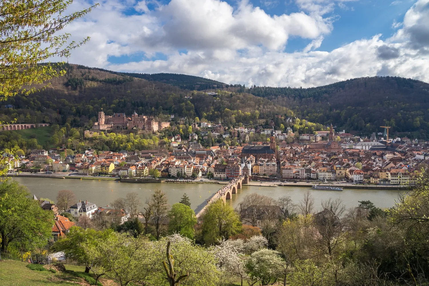 Zentral gelegene Apartments Heidelberg Altstadt